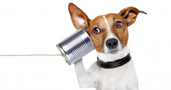Dog Translator