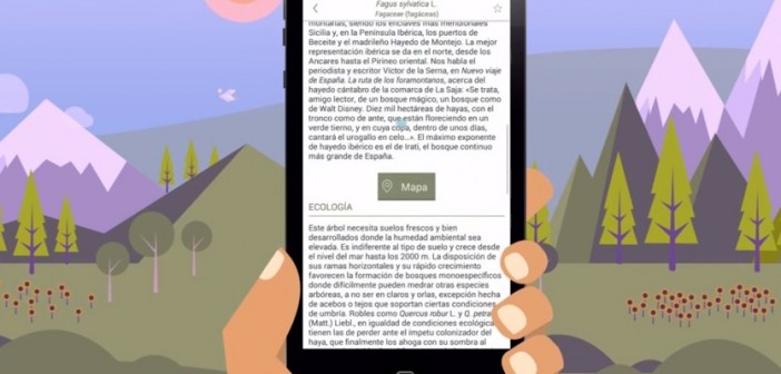 arbolapp
