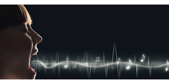 notas de audio de Whatsapp