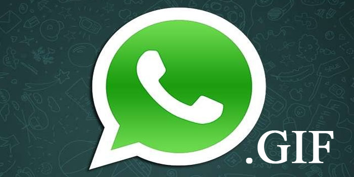 enviar GIF por Whatsapp