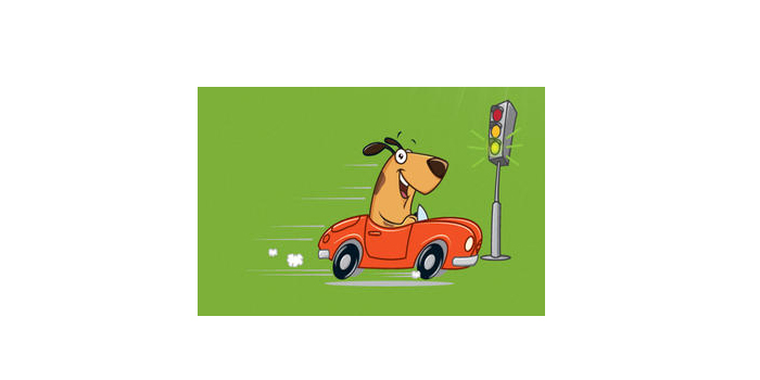 aplicaciones para cuidar mascotas