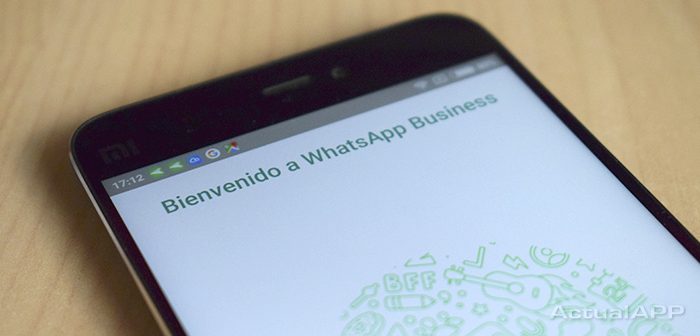 whatsapp business