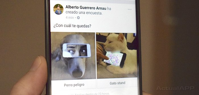 encuesta en facebook