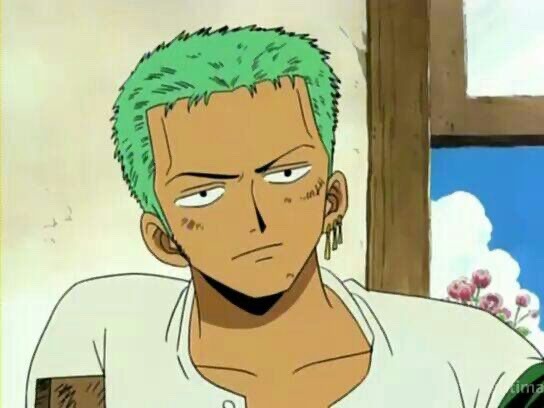 zoro one piece