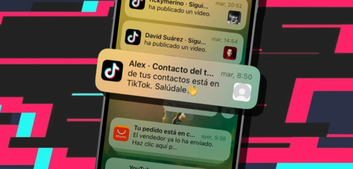 tiktok notificacion contacto saludale