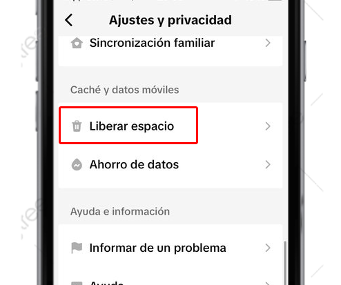 liberar espacio en la app de tiktok