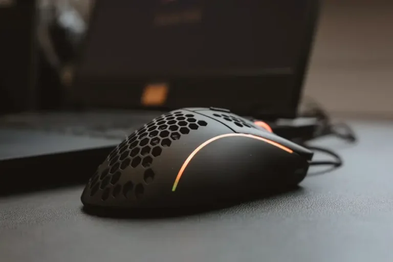 ratón